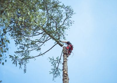we-fix-as-trefelling-trefeller-asker-beaerum-oslo-1