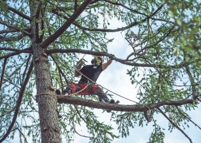 we-fix-as-trefelling-trefeller-asker-beaerum-oslo-2