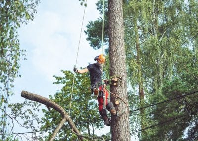 we-fix-as-trefelling-trefeller-asker-beaerum-oslo-3